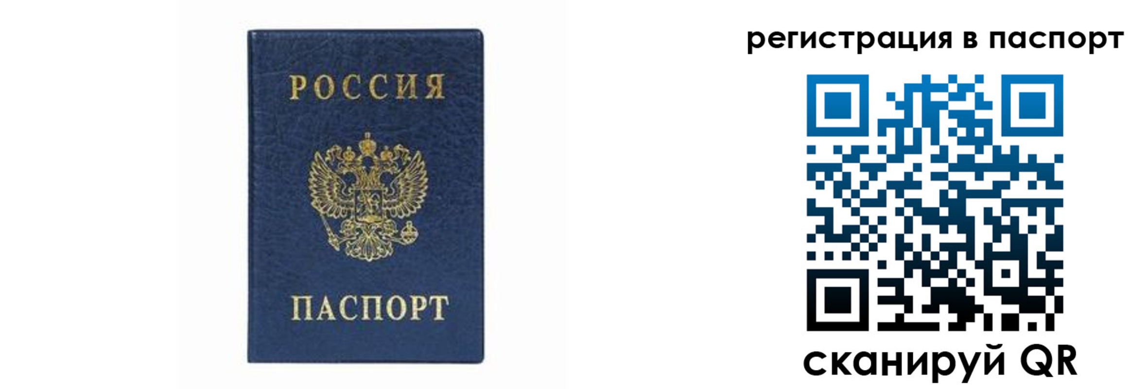 форма 3 в Светлограде